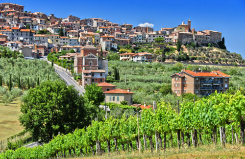 View of Chianciano Terme in the sunshine with vines in the foreground in the province of Siena in Tuscany.