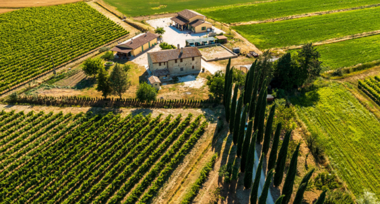 La Fonte di Bevagna farmhouse aerial