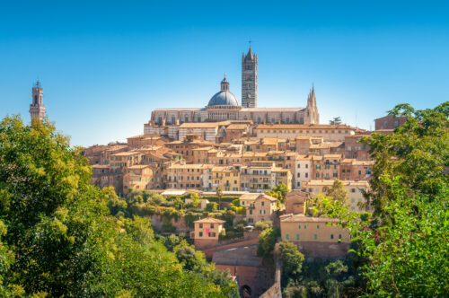Siena Cathedral and the surrounding cityscape rise above lush greenery under a clear blue sky. The cathedral's dome or duomo and bell tower stand out against the terracotta rooftops of the historic buildings.