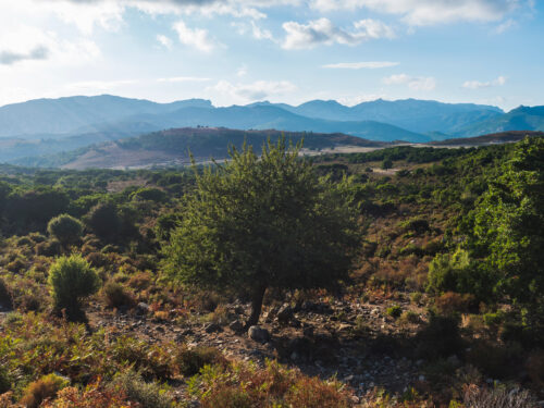 Supramonte Mountains, Sardinia, Italy, real, rustic