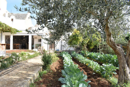 Gardens of Trattoria Terre Madre in Alberobello