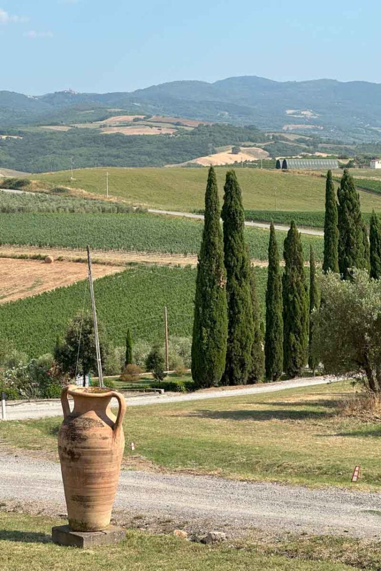Bindella Wine Estate in the heart of the Montepulciano region with stunning views and offering visitors the chance to learn about the agronomic wine growing techniques and taste delicious wines of the region.